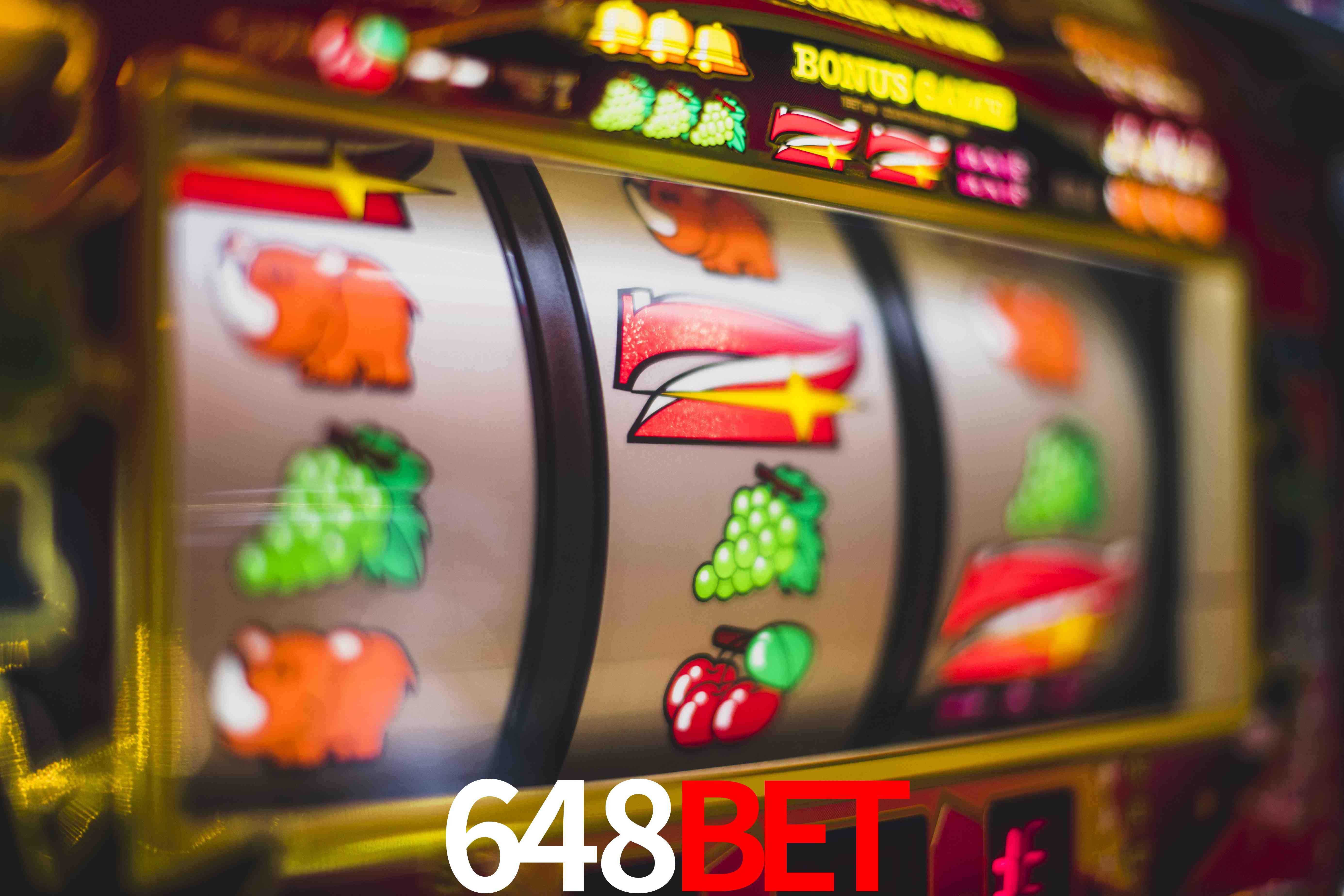 Sports Statistics 648bet